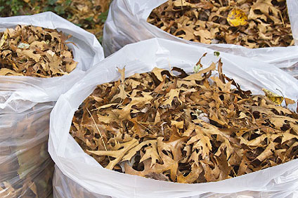 Garden Rubbish Removal